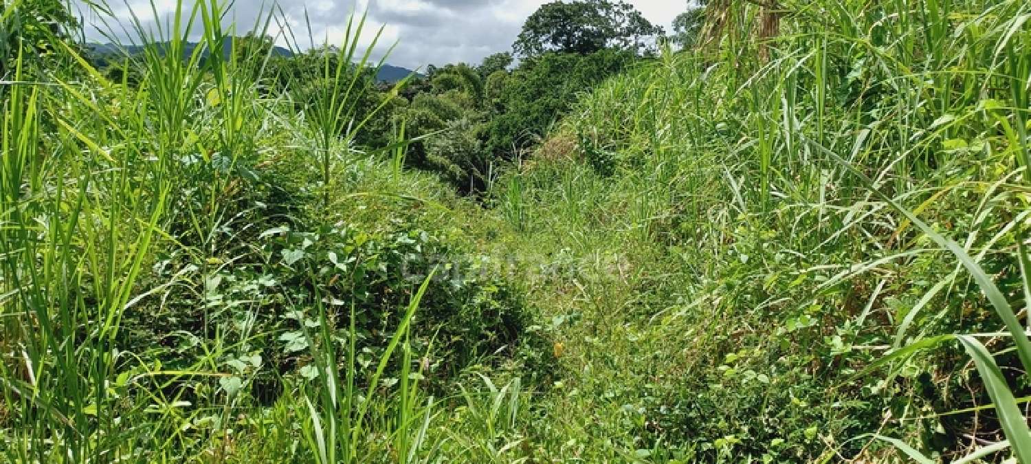  en venta terreno Gros-Morne Martinique 4