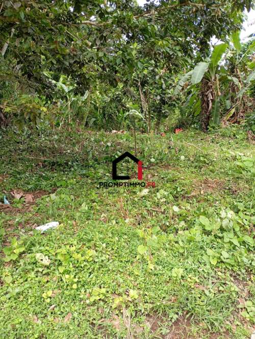 Gros-Morne Martinique Grundstück Bild 7218736