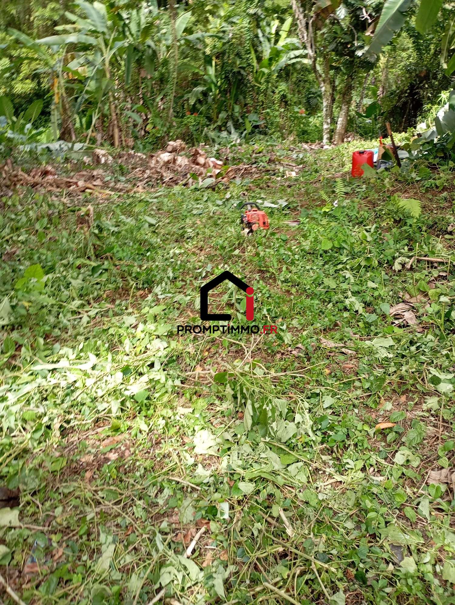 kaufen Grundstück Gros-Morne Martinique 2