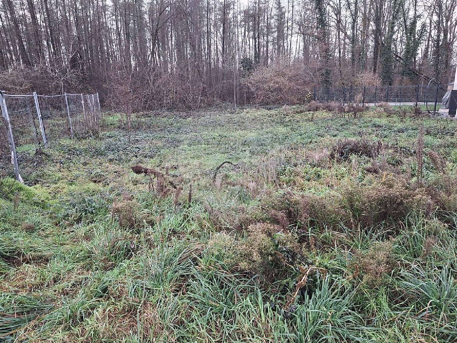  à vendre terrain Issenheim Haut-Rhin 2