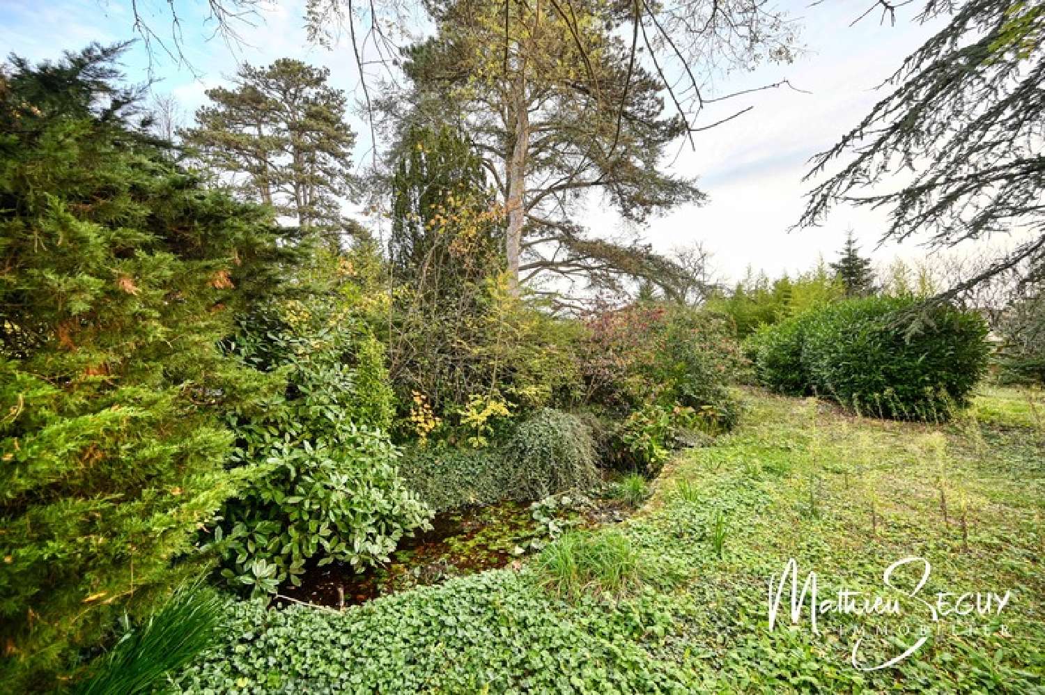 te koop terrein Jonage Rhône 5