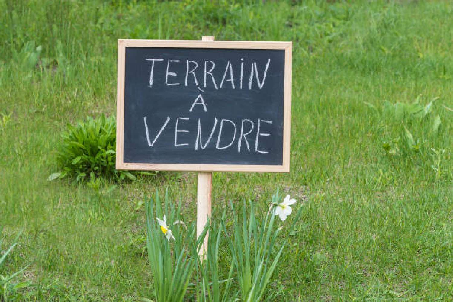  à vendre terrain Juvignac Hérault 1