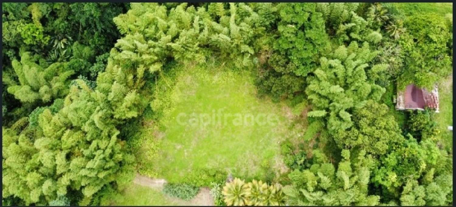kaufen Grundstück L'Ajoupa-Bouillon Martinique 1