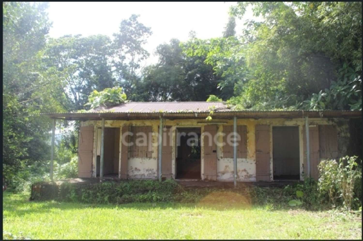 kaufen Grundstück L'Ajoupa-Bouillon Martinique 3