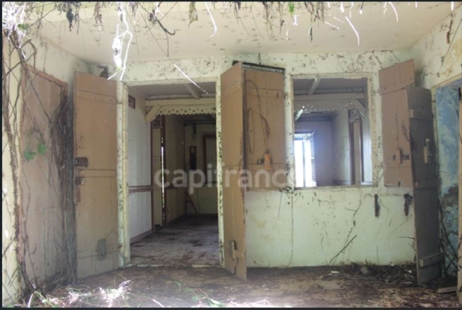 kaufen Grundstück L'Ajoupa-Bouillon Martinique 4