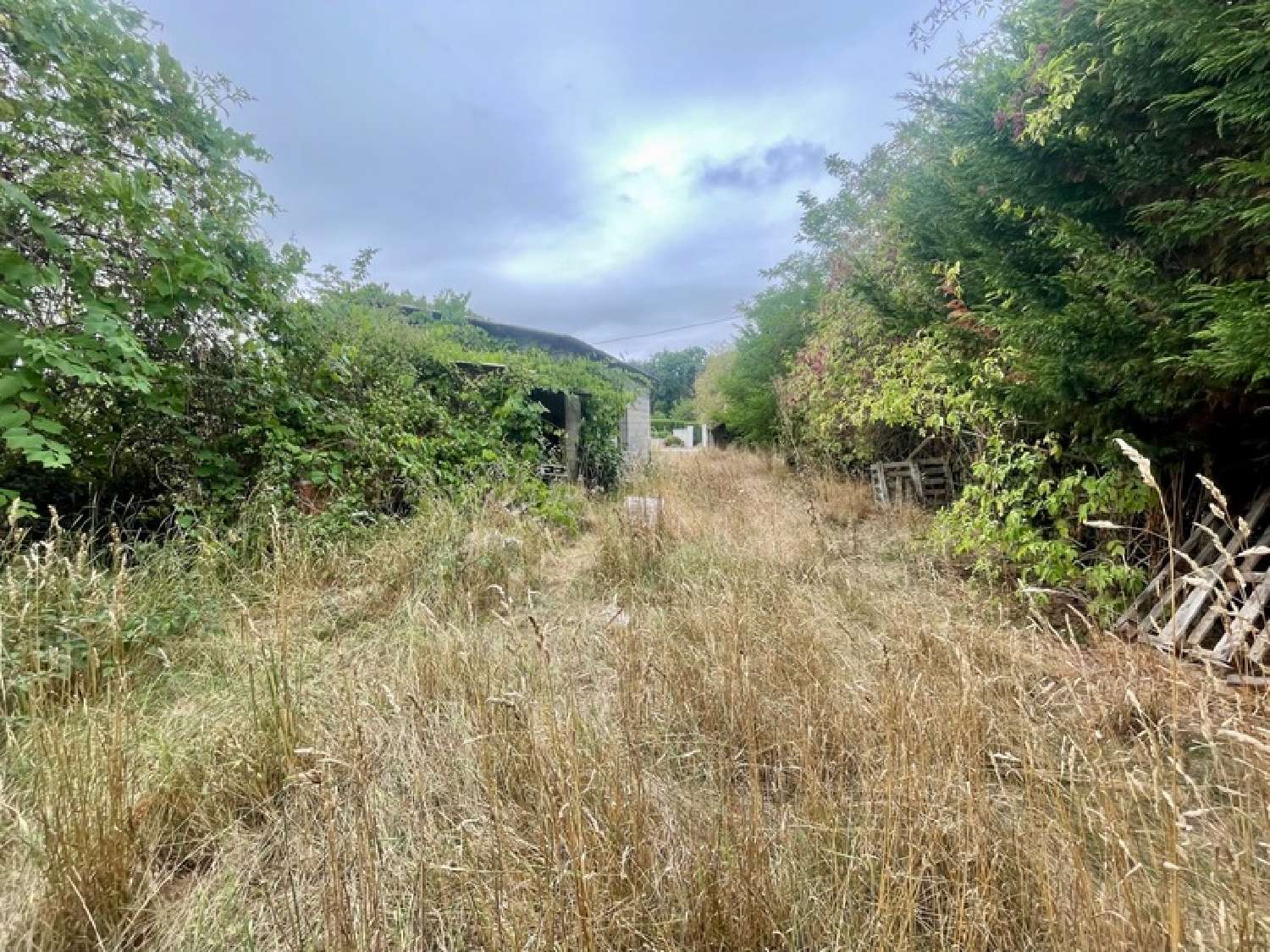  te koop terrein La Guerche-sur-l'Aubois Cher 1