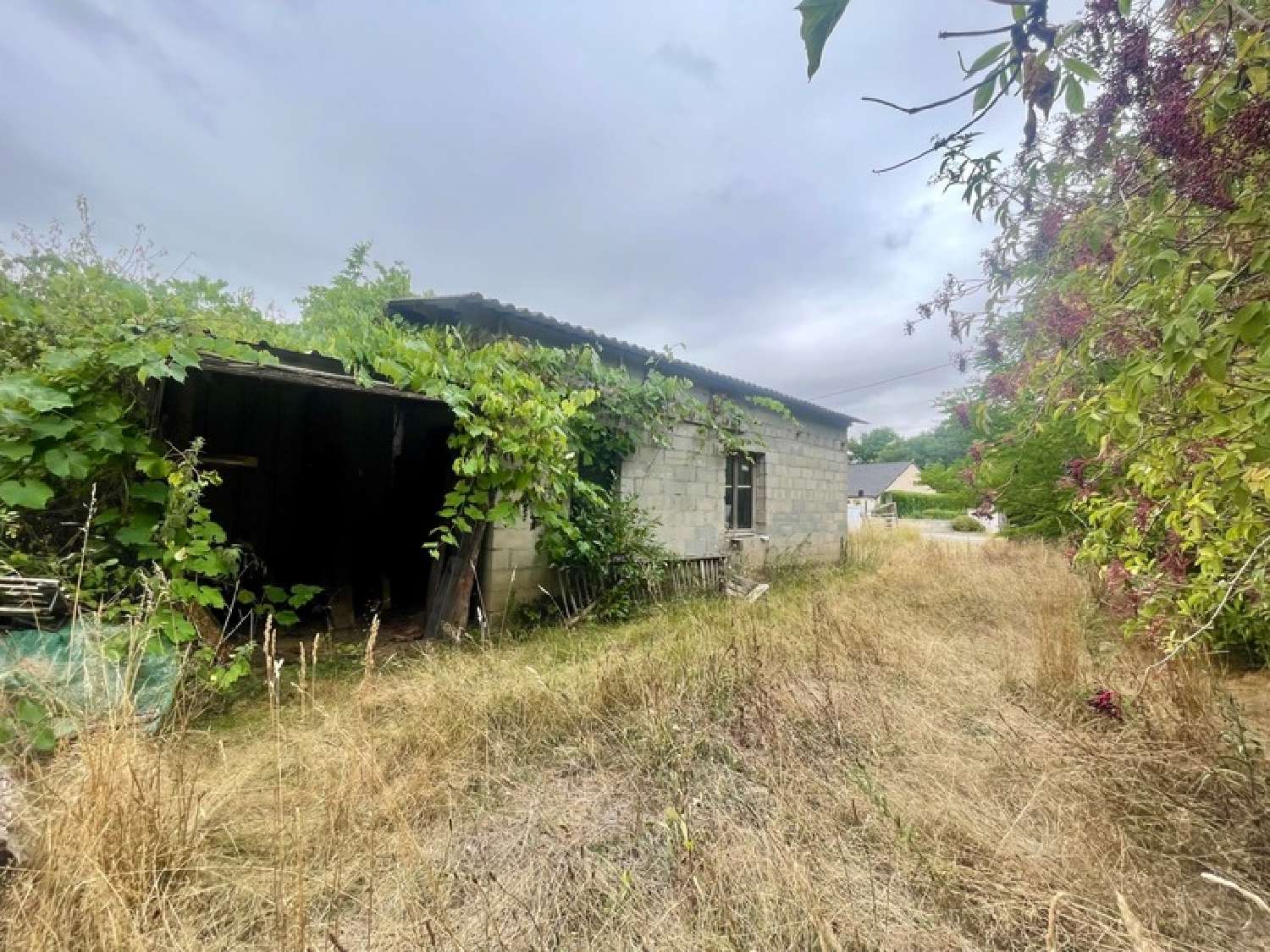  te koop terrein La Guerche-sur-l'Aubois Cher 3