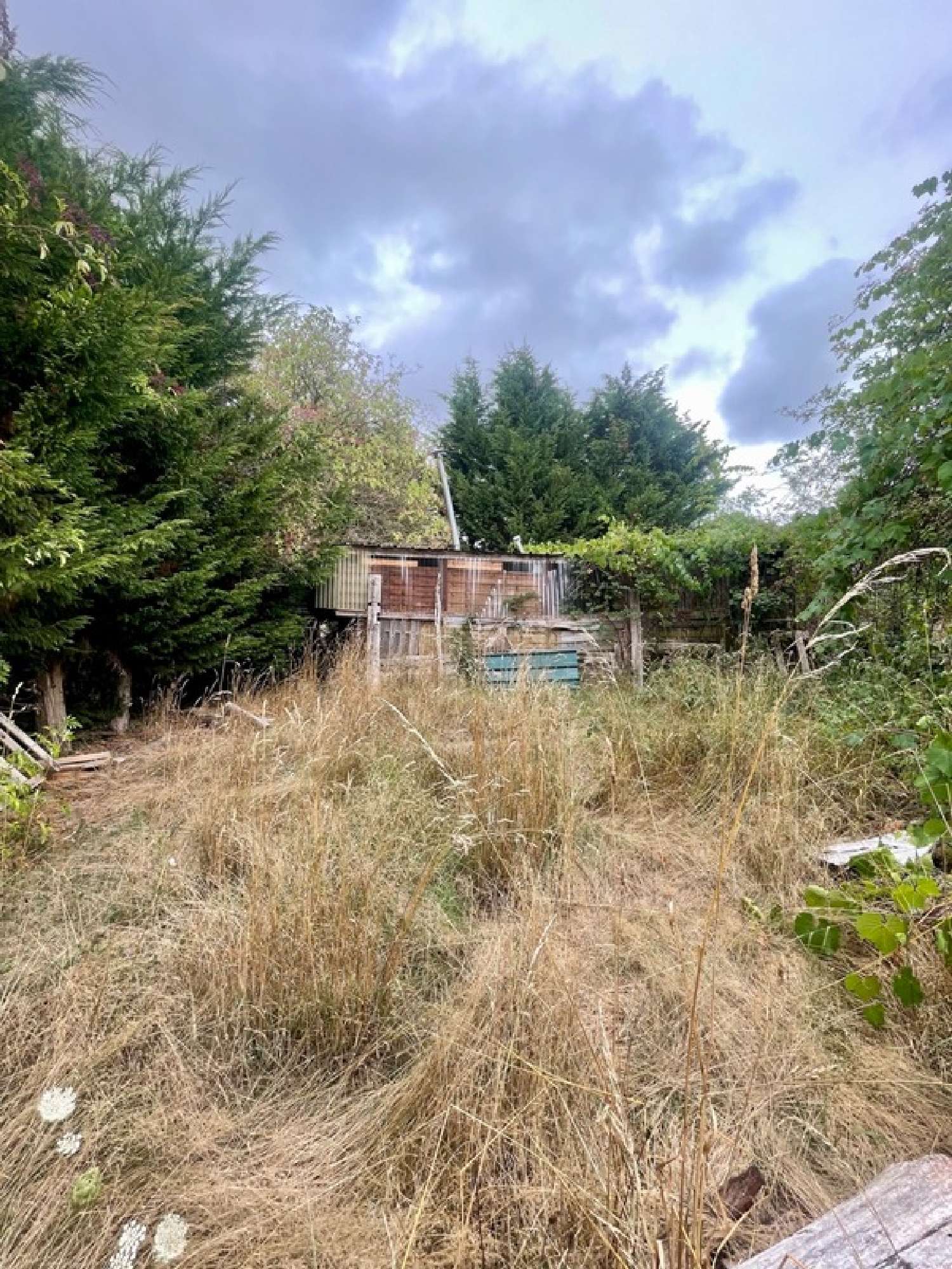  te koop terrein La Guerche-sur-l'Aubois Cher 5