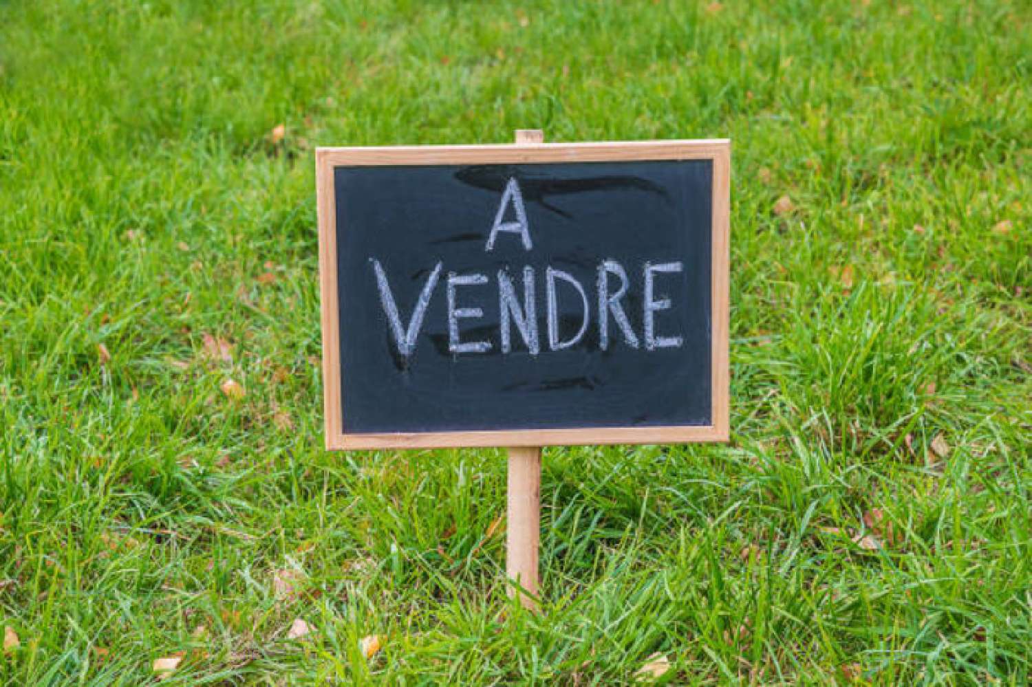 en venta terreno La Membrolle-sur-Longuenée Loir-et-Cher 1