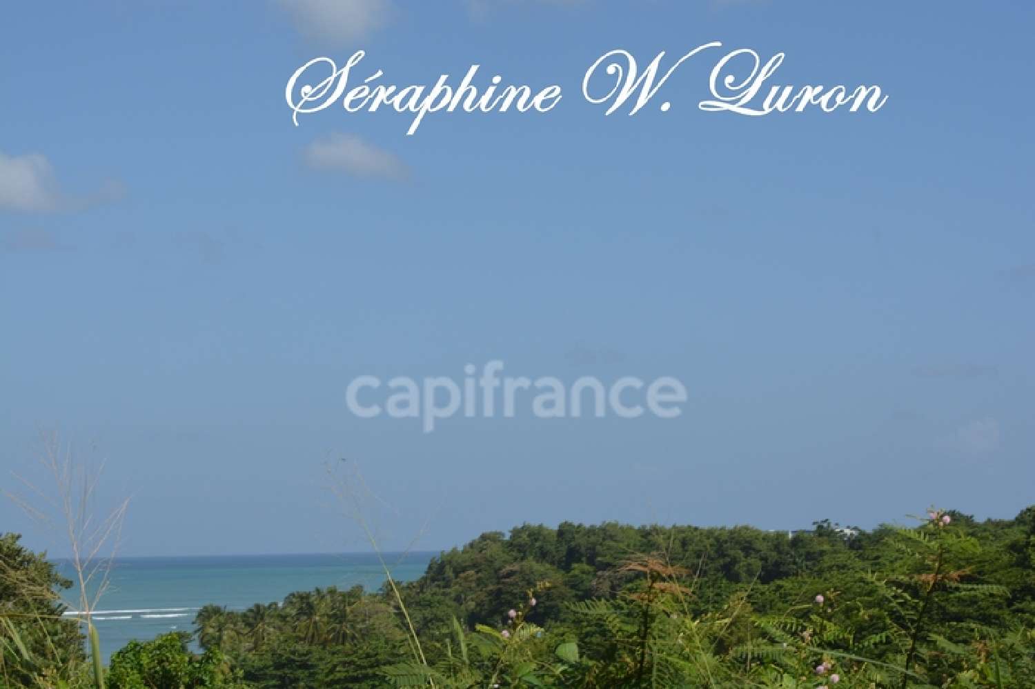 te koop terrein La Trinité Martinique 5
