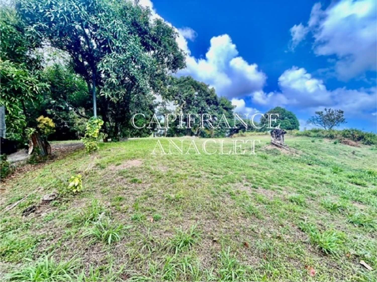  te koop terrein La Trinité Martinique 3