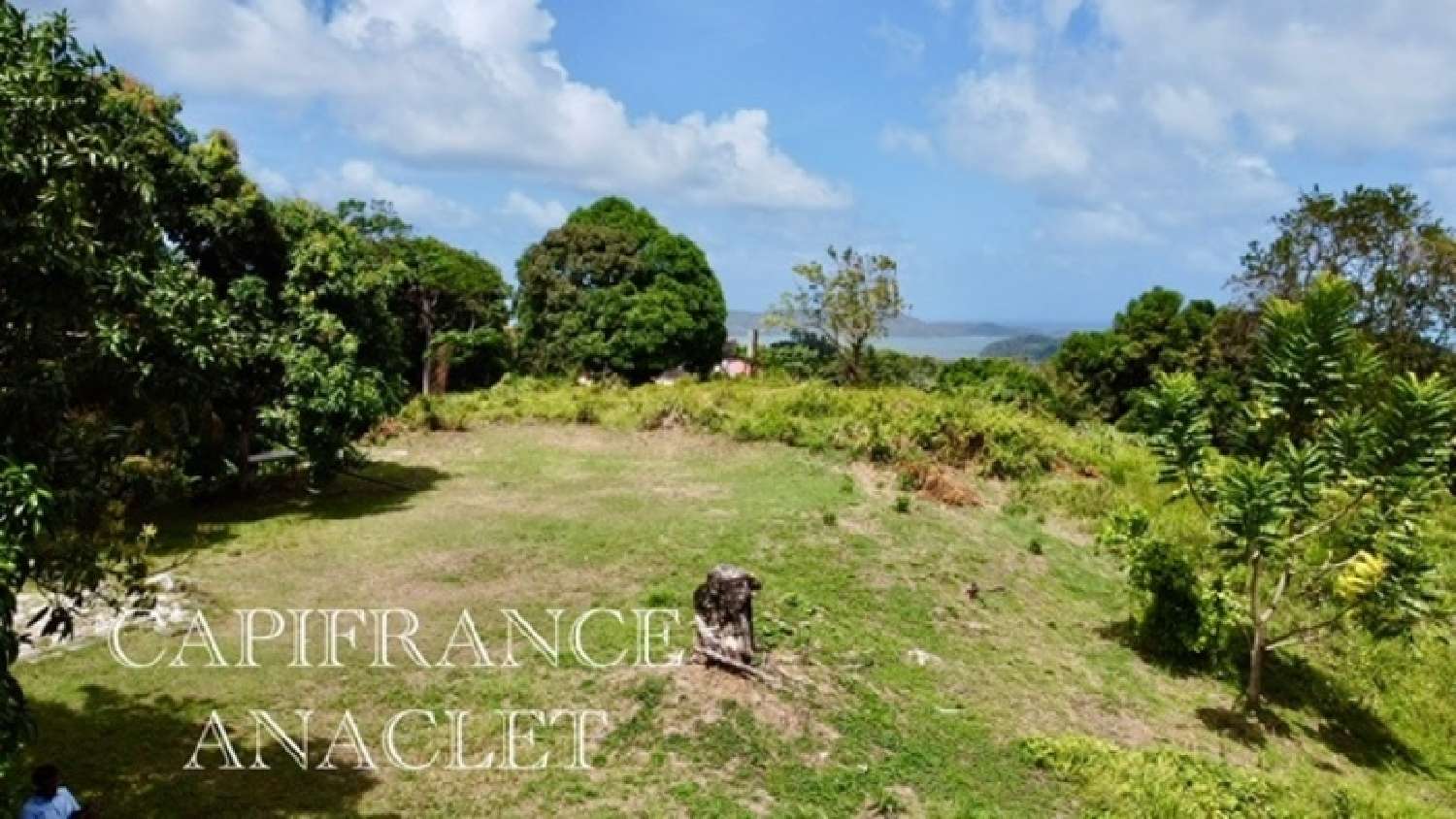  te koop terrein La Trinité Martinique 4