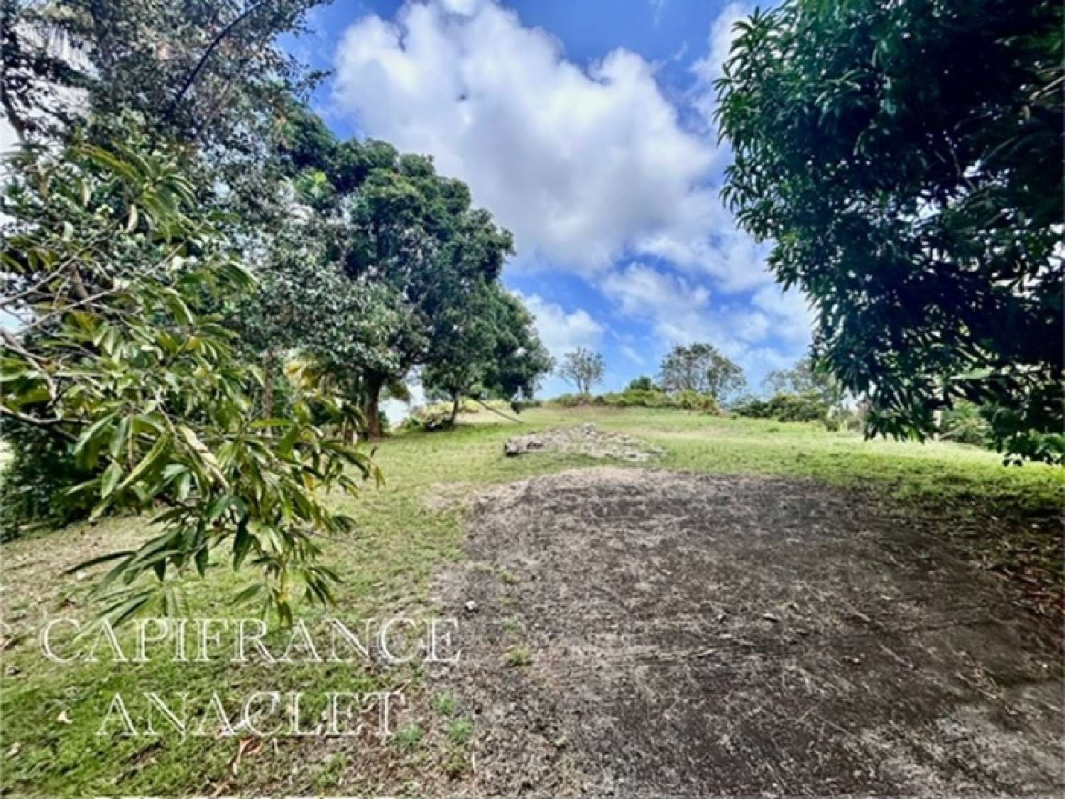  te koop terrein La Trinité Martinique 5