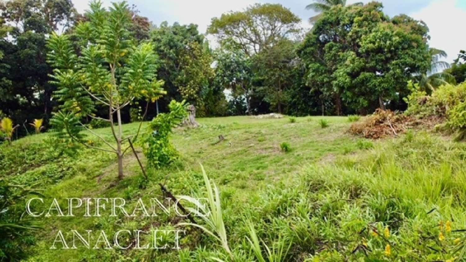  te koop terrein La Trinité Martinique 6