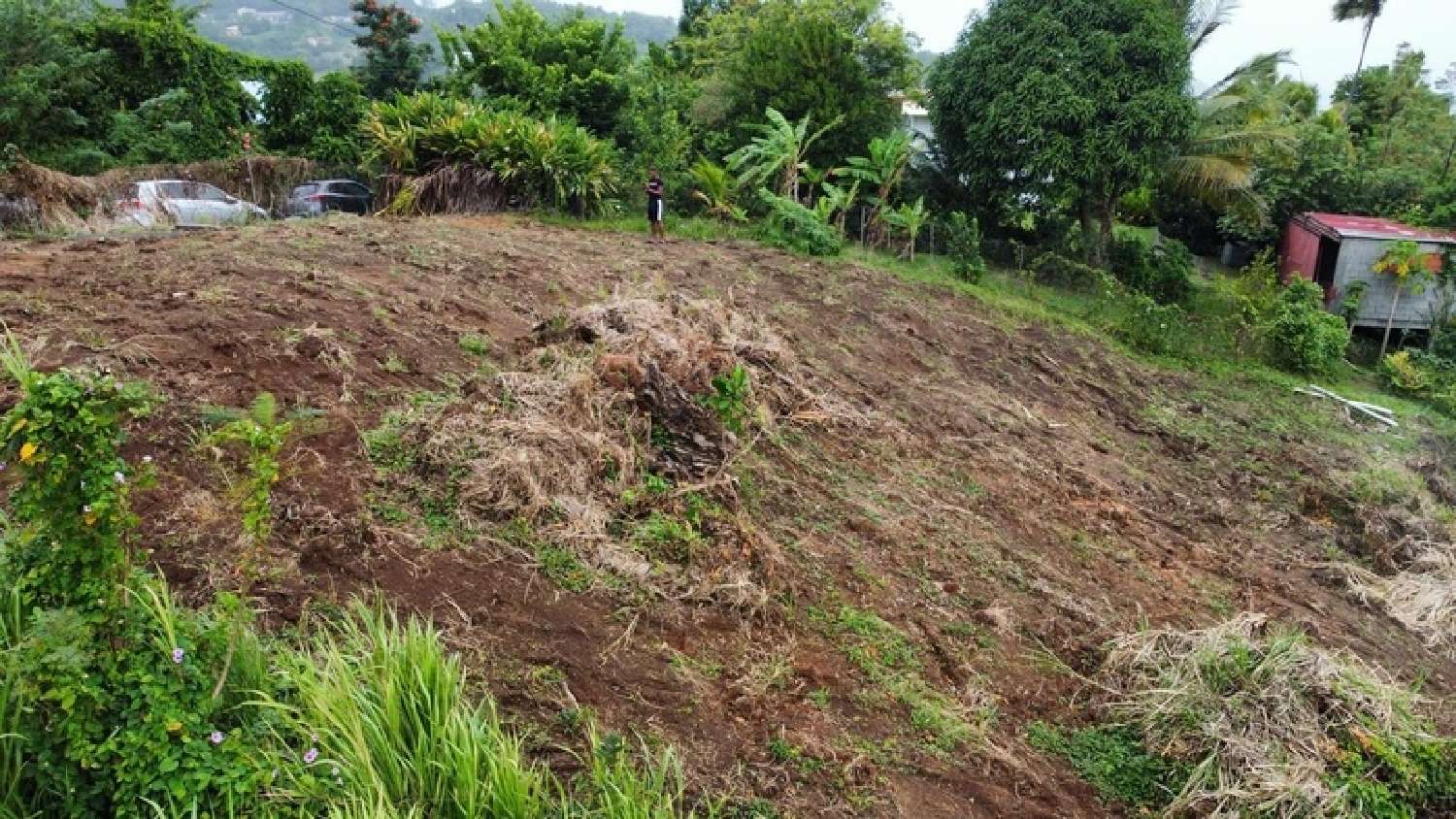 kaufen Grundstück La Trinité Martinique 2