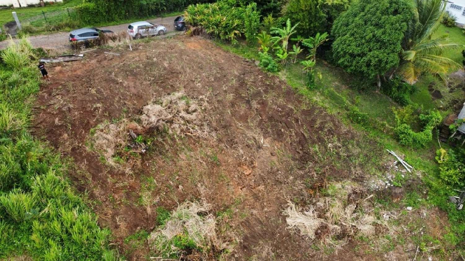 kaufen Grundstück La Trinité Martinique 3