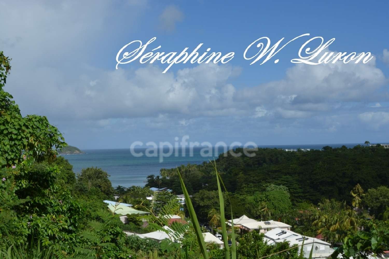 kaufen Grundstück La Trinité Martinique 1