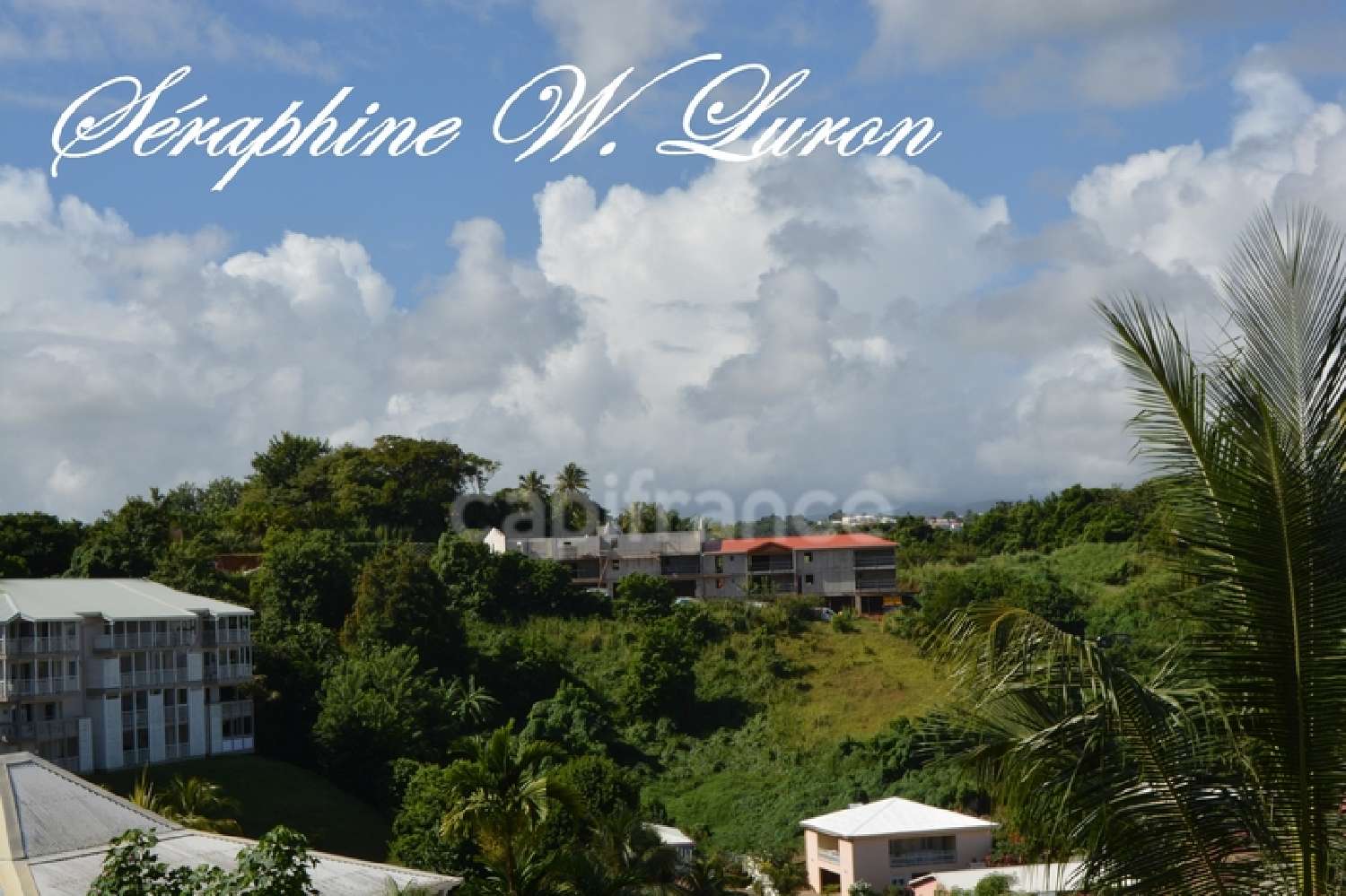 kaufen Grundstück La Trinité Martinique 2