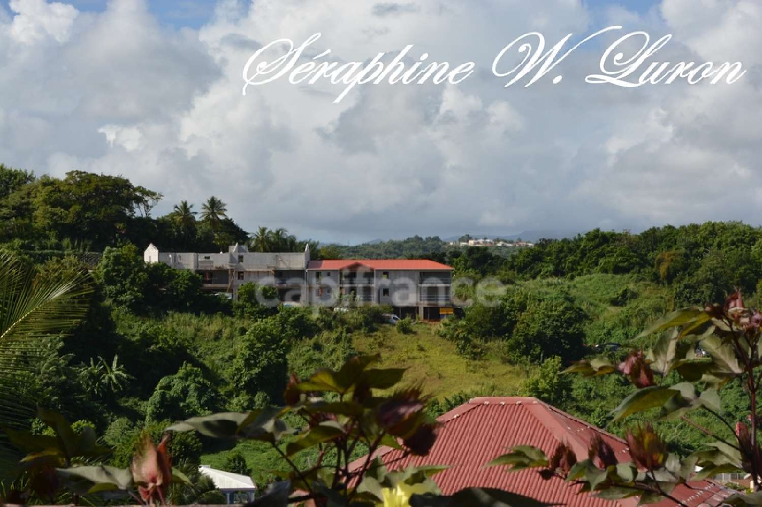 kaufen Grundstück La Trinité Martinique 4