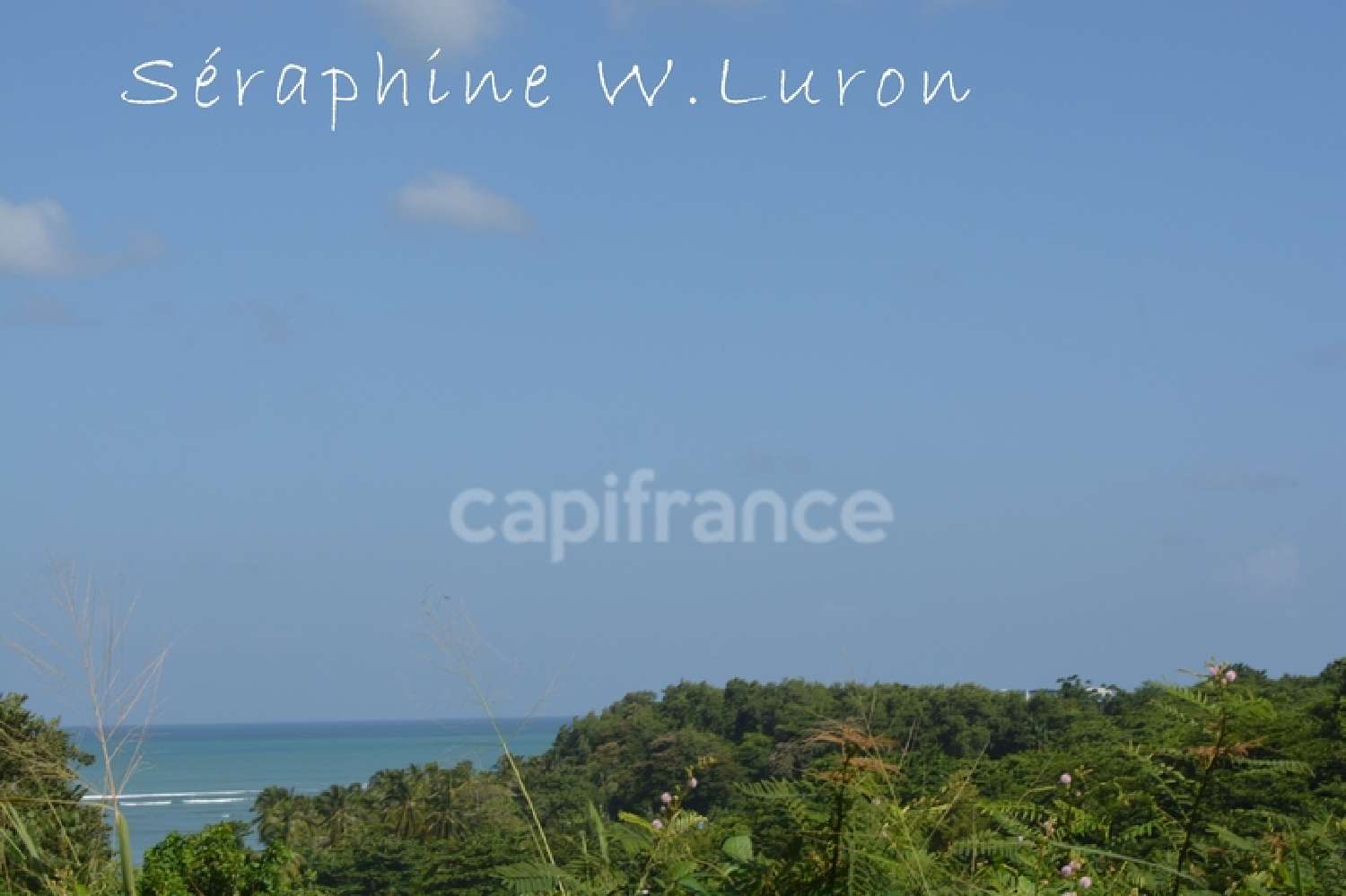 kaufen Grundstück La Trinité Martinique 1