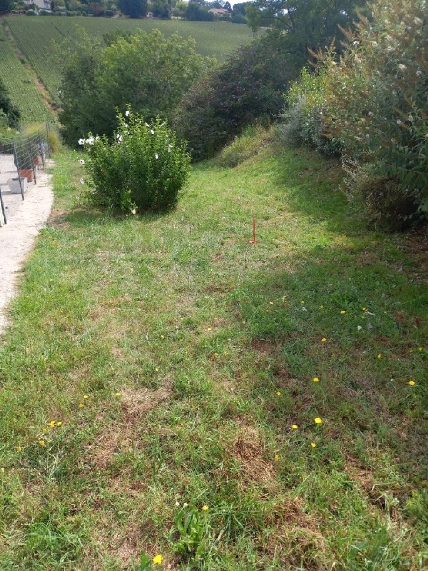  for sale terrain Lanta Haute-Garonne 3