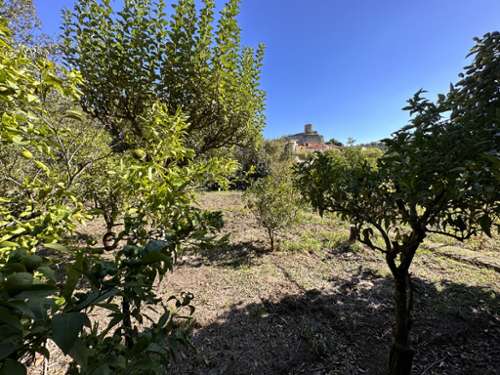 Laroque-des-Albères Pyrénées-Orientales Grundstück Bild 7215446
