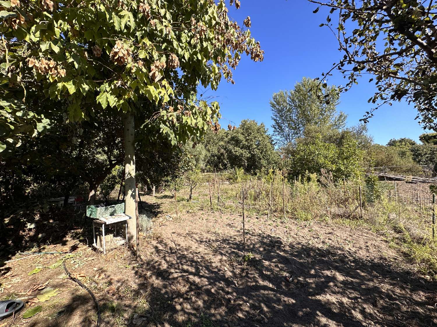  kaufen Grundstück Laroque-des-Albères Pyrénées-Orientales 2