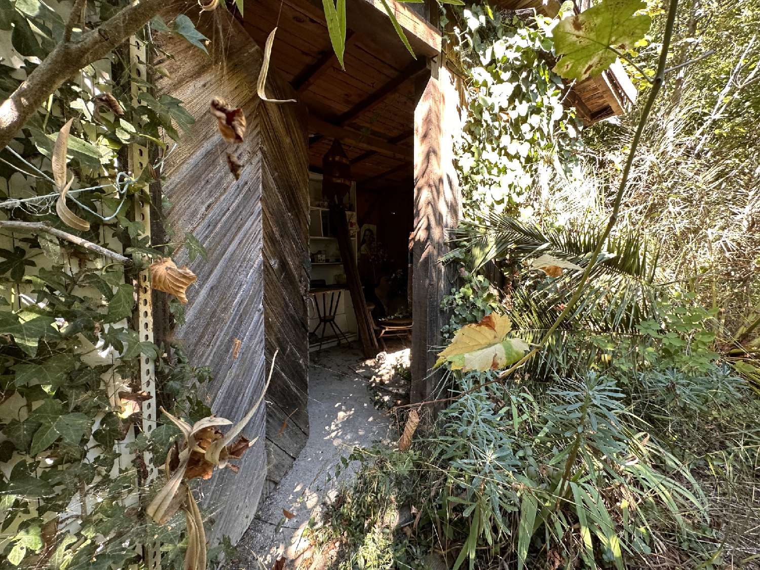  kaufen Grundstück Laroque-des-Albères Pyrénées-Orientales 3