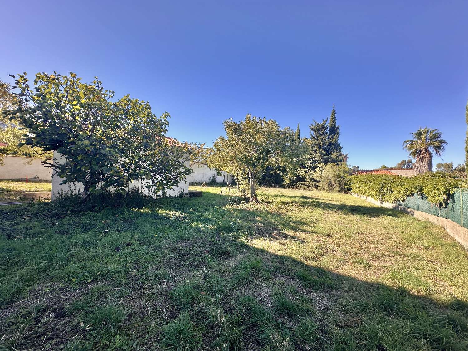 for sale terrain Laroque-des-Albères Pyrénées-Orientales 4