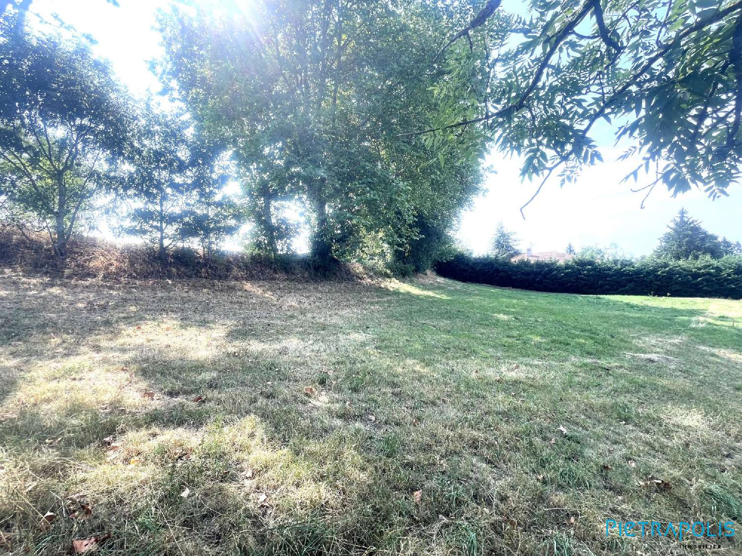  for sale terrain Lay Loire 1