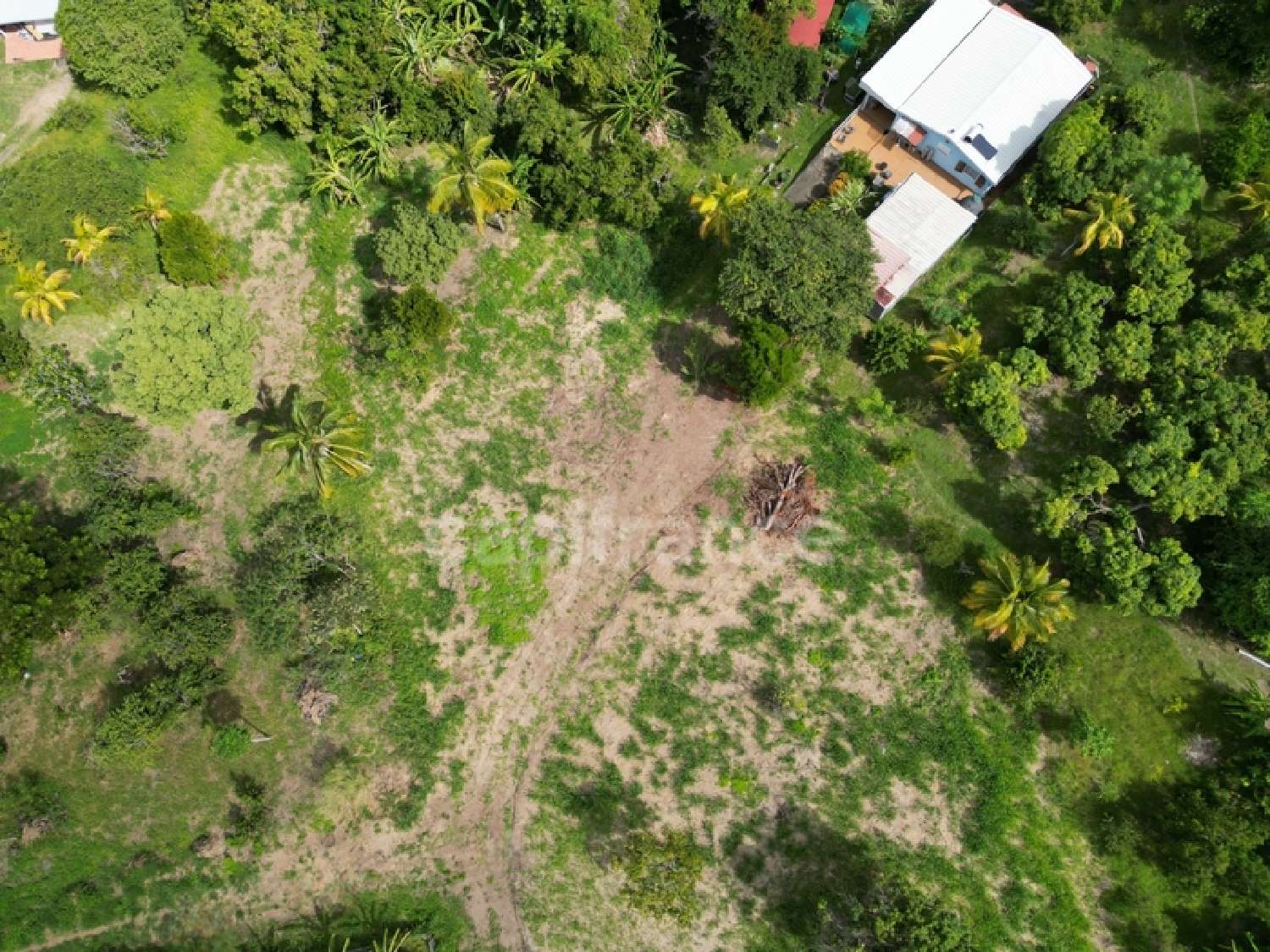  te koop terrein Le Carbet Martinique 5