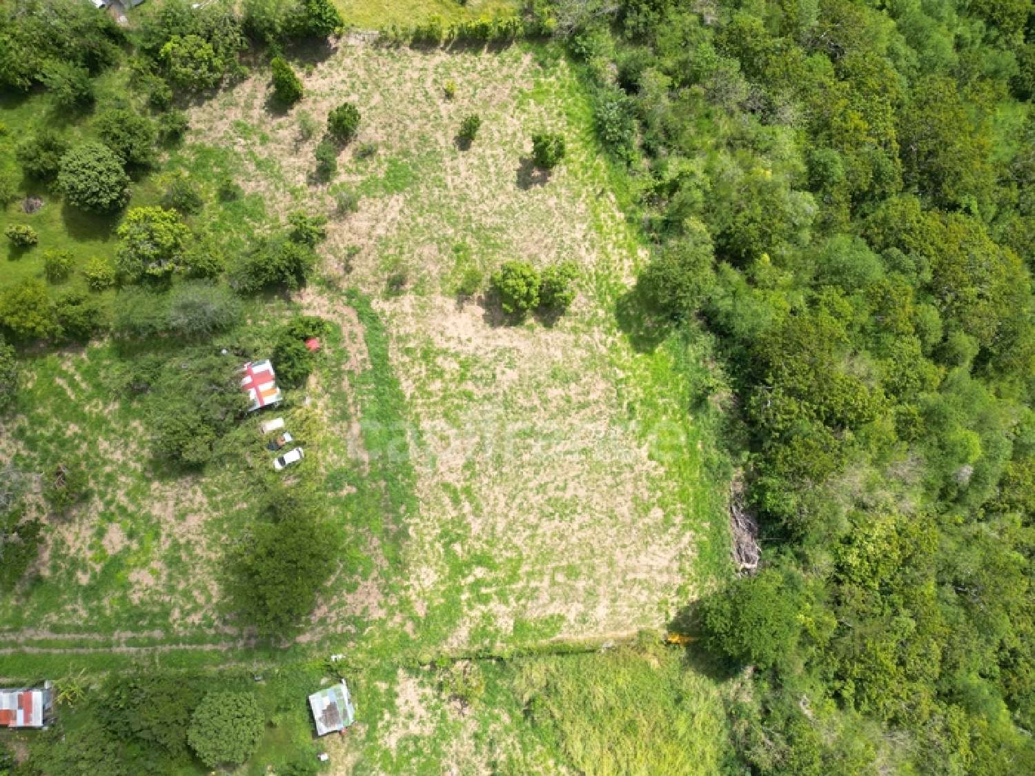  te koop terrein Le Carbet Martinique 6