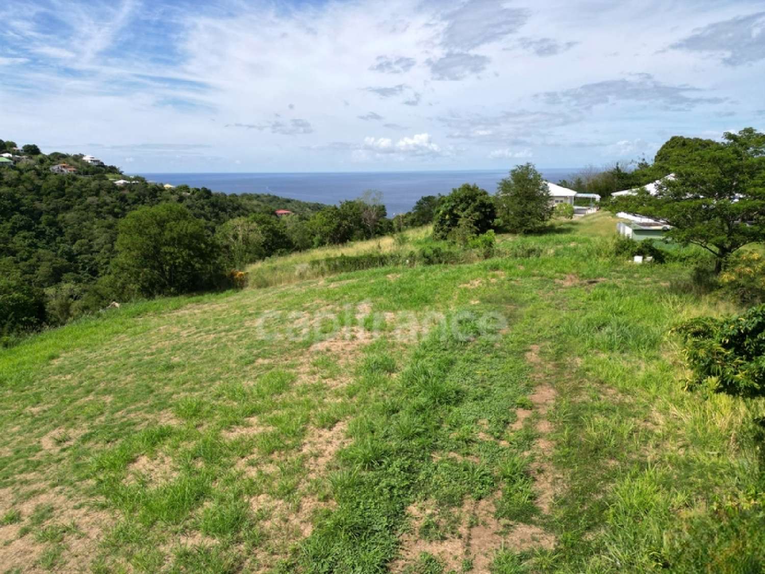  te koop terrein Le Carbet Martinique 8