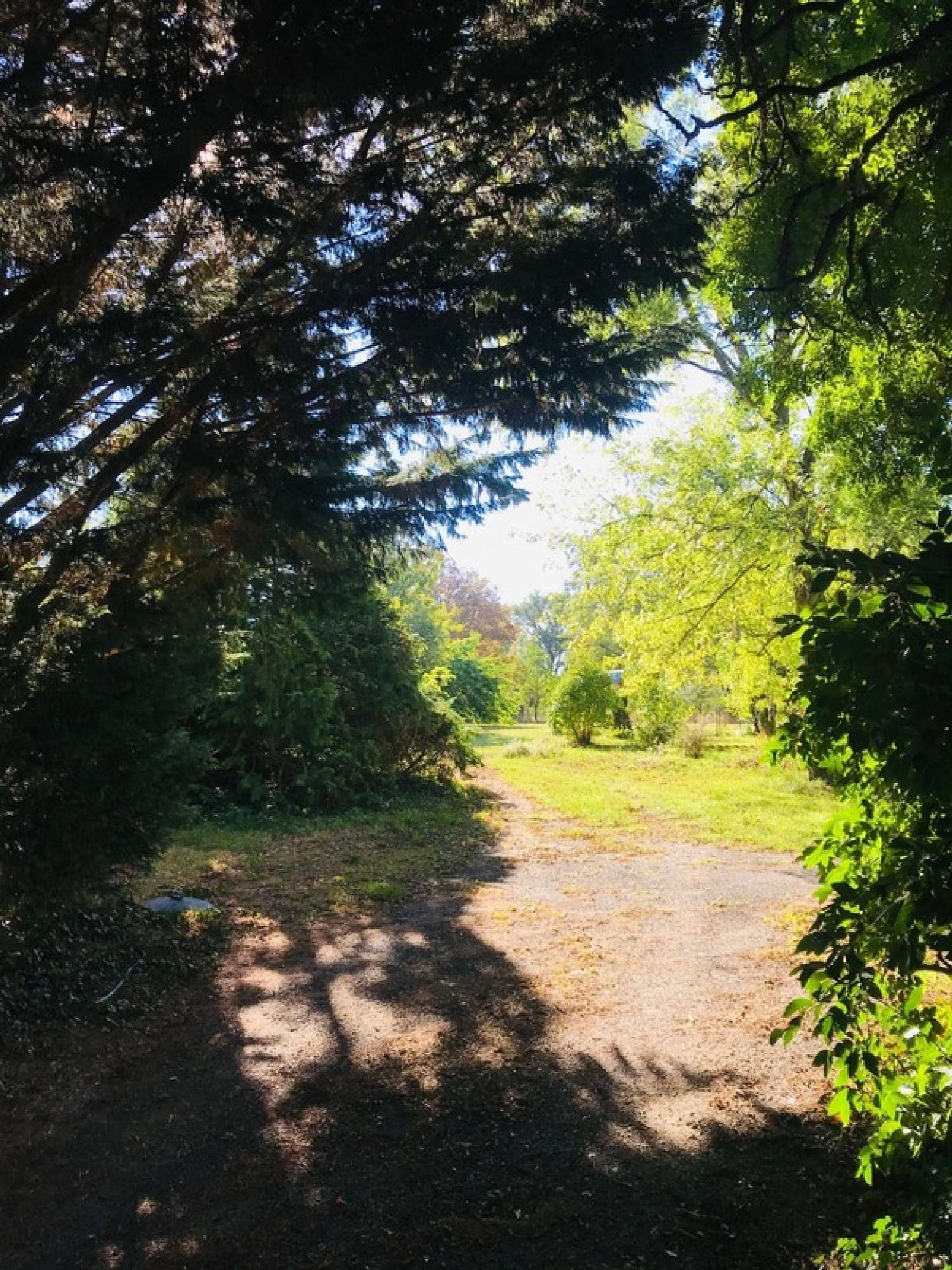 en venta terreno Le Chautay Cher 8