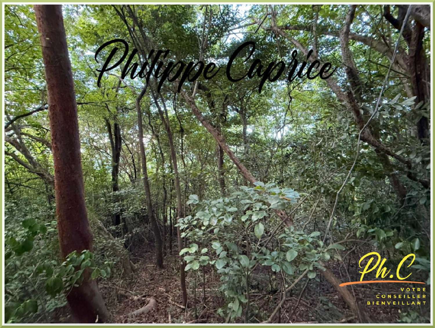 te koop terrein Le François Martinique 2