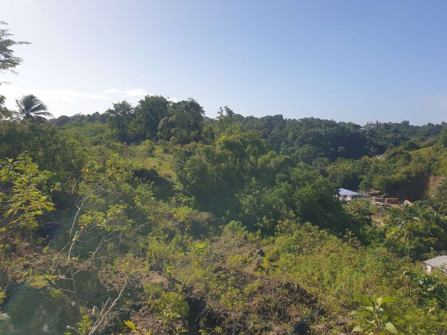 te koop terrein Le Gosier Guadeloupe 3