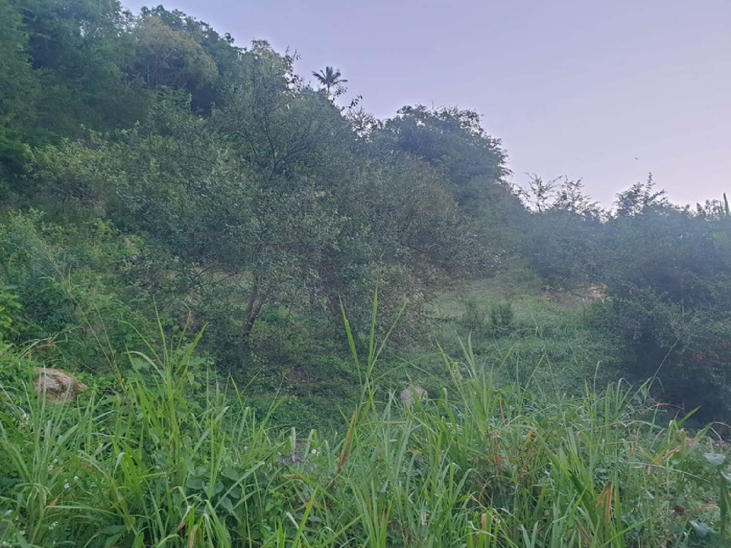 te koop terrein Le Gosier Guadeloupe 4