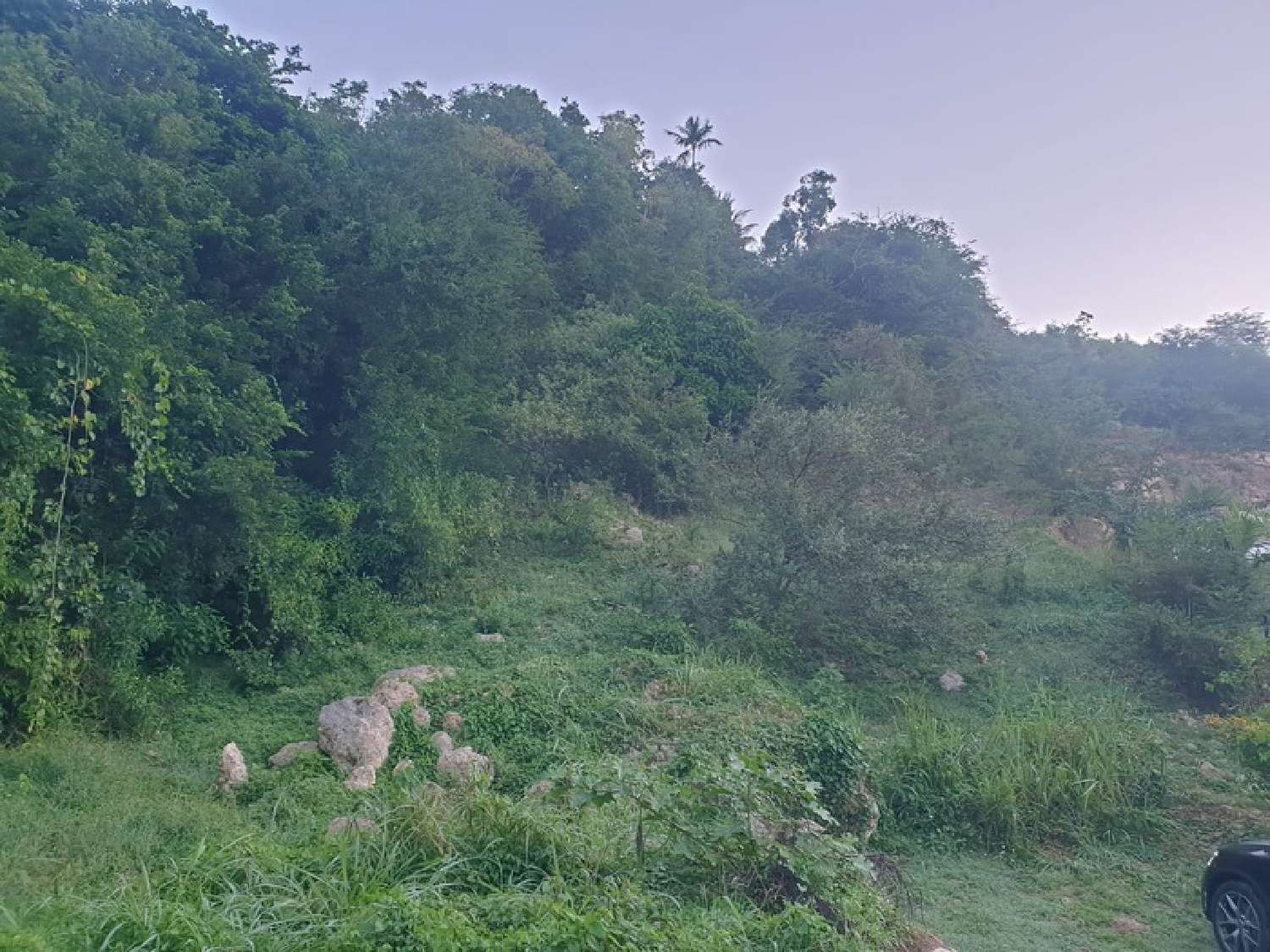 te koop terrein Le Gosier Guadeloupe 5