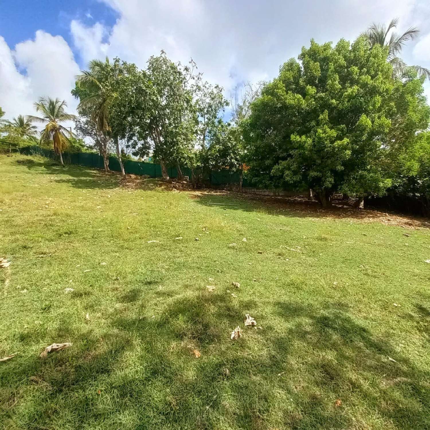  à vendre terrain Le Gosier Guadeloupe 2
