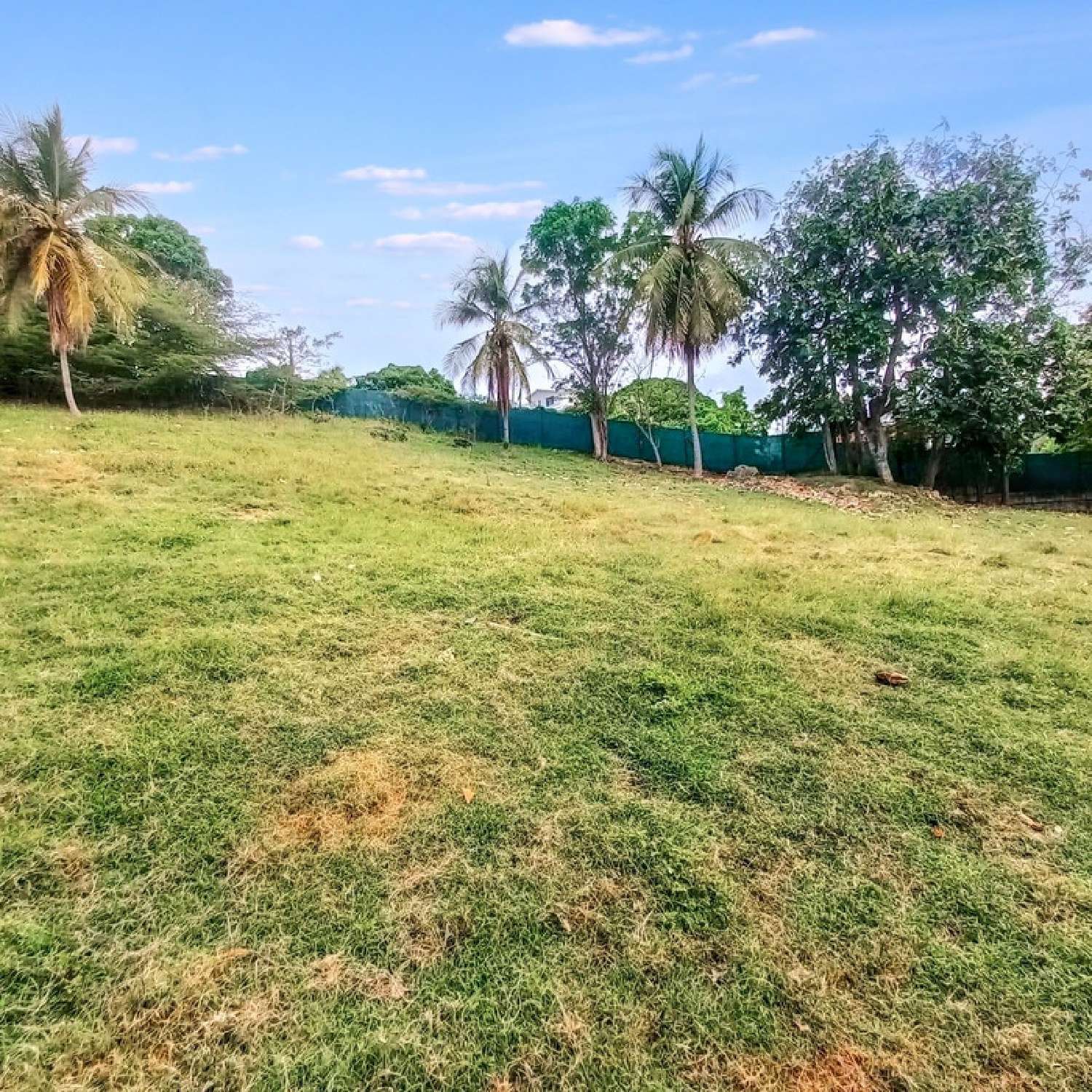  à vendre terrain Le Gosier Guadeloupe 6