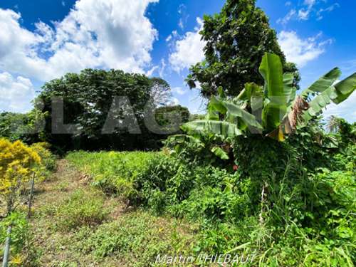 Le Lamentin Martinique terrein foto 7219275