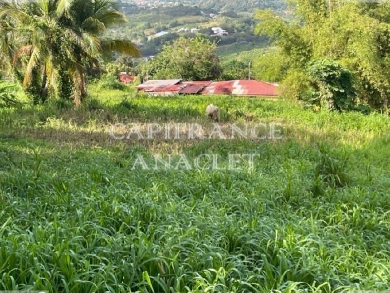  en venta terreno Le Lamentin Martinique 2