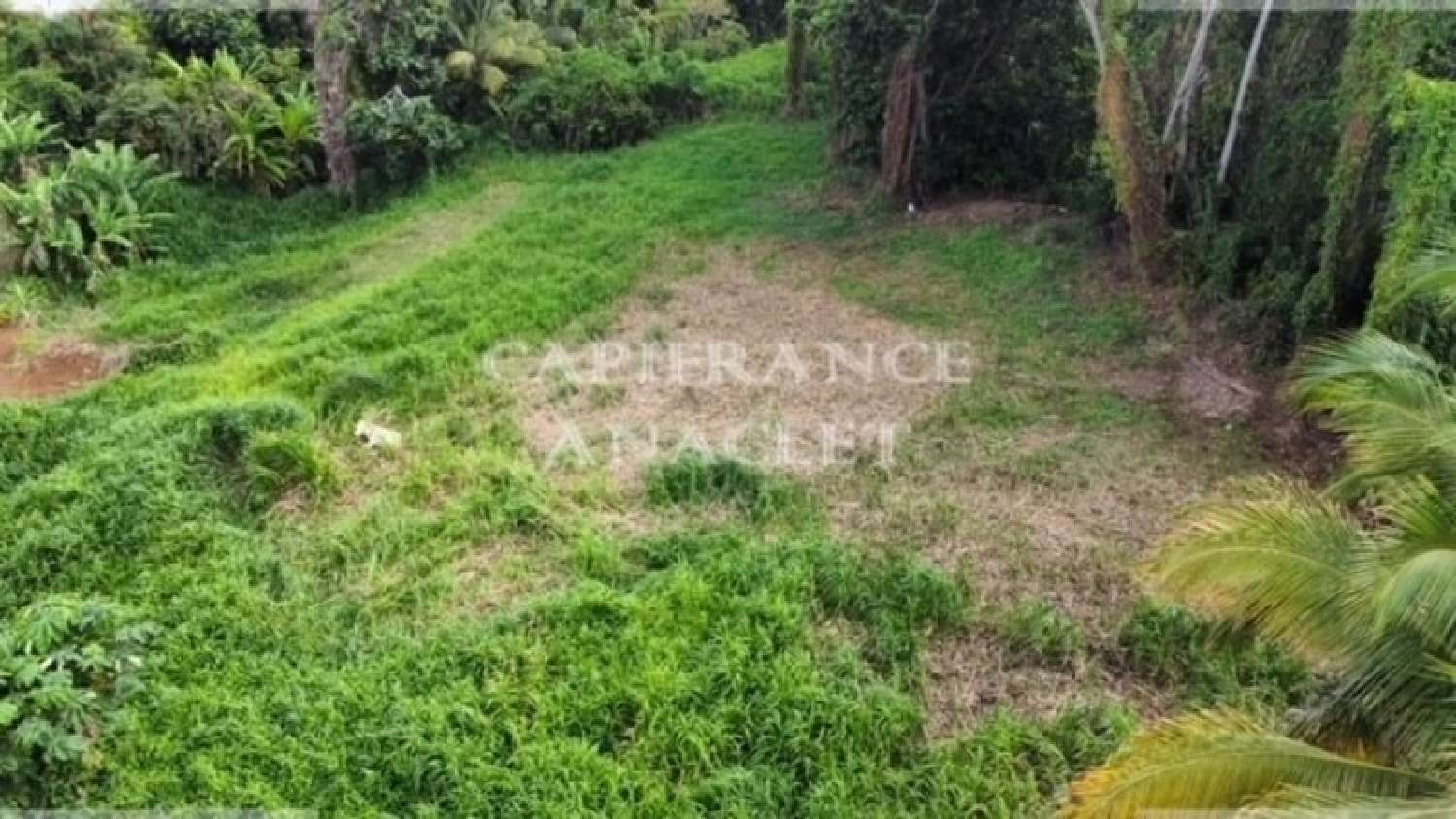  en venta terreno Le Lamentin Martinique 1