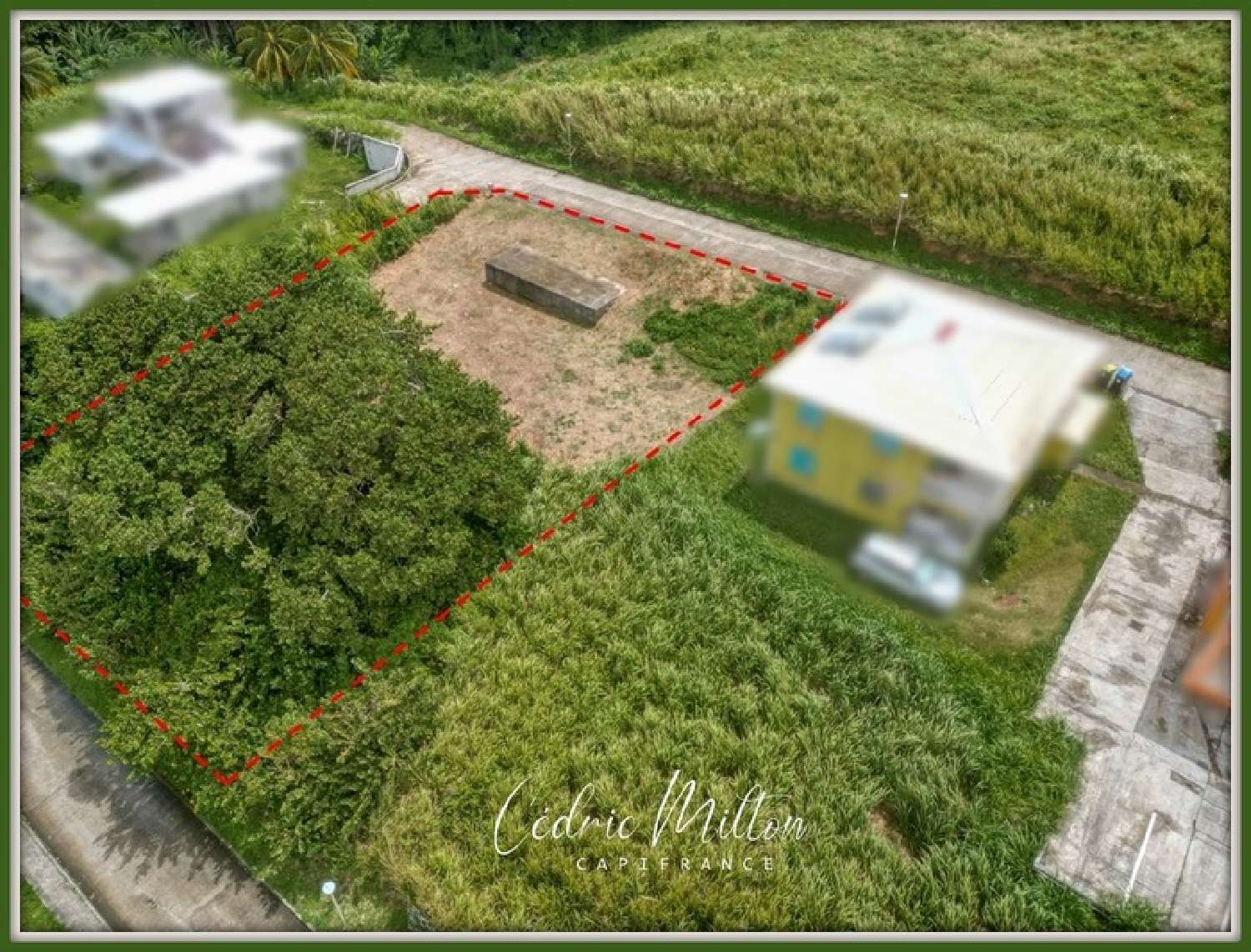 kaufen Grundstück Le Lorrain Martinique 5