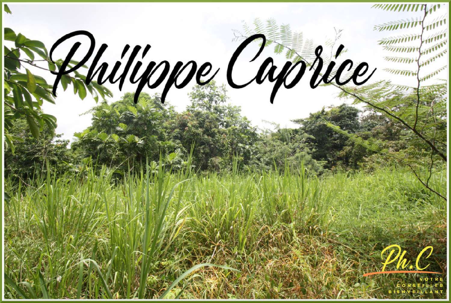 te koop terrein Le Marin Martinique 6