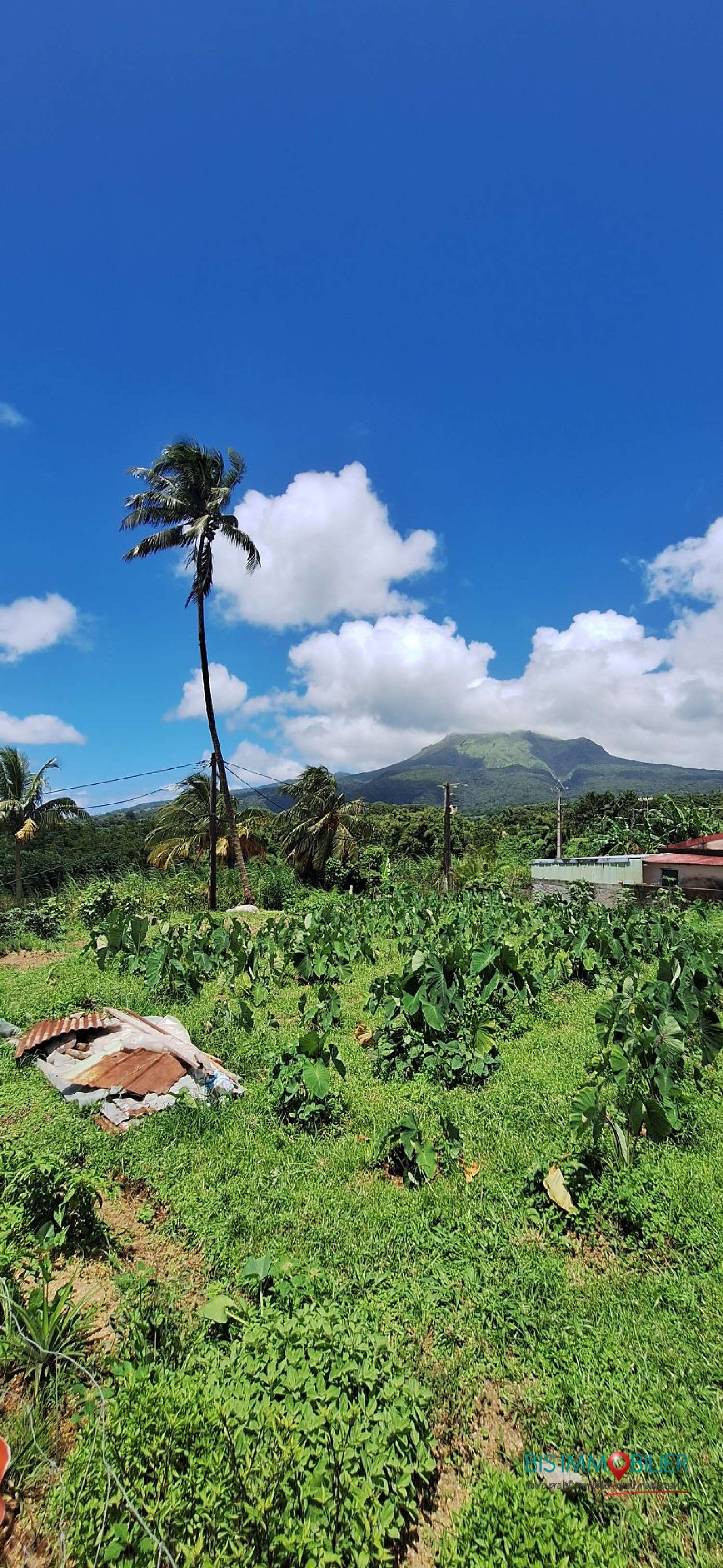 kaufen Grundstück Le Morne-Rouge Martinique 1