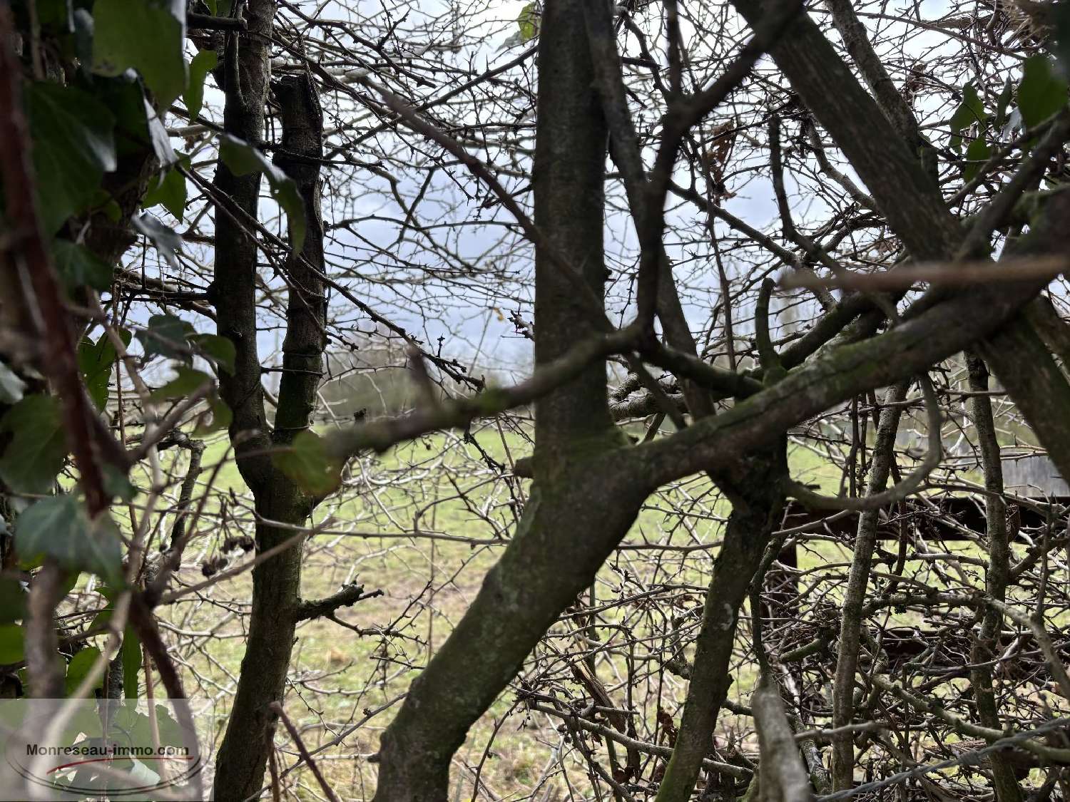  for sale terrain Le Quesnoy Nord 1