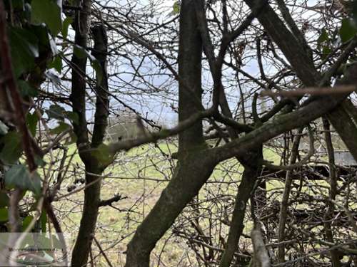 Le Quesnoy Nord terrain foto 7228285