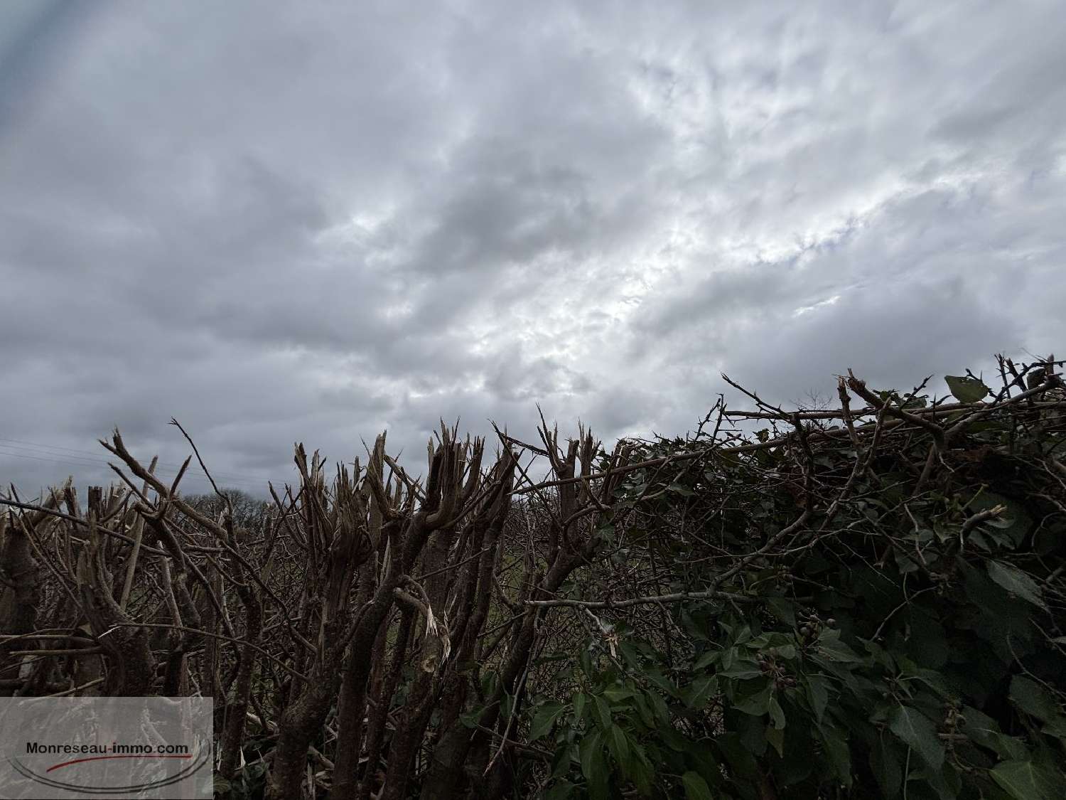  for sale terrain Le Quesnoy Nord 2