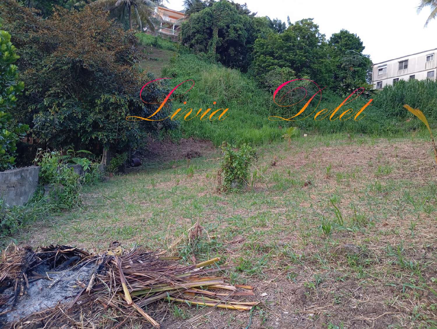 te koop terrein Le Robert Martinique 1